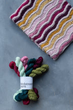 Load image into Gallery viewer, Merry Little Christmas - 6x20g DK Minis Set