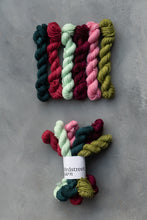 Load image into Gallery viewer, Merry Little Christmas - 6x20g DK Minis Set