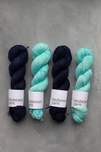 Load image into Gallery viewer, Deepest - 4ply - Hand-dyed yarn