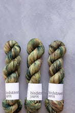 Load image into Gallery viewer, Now You See Me - 4ply - Hand-dyed yarn
