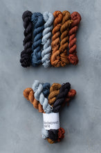 Load image into Gallery viewer, Pebbles On A Beach - 6x20g DK Minis Set