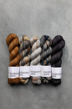 Load image into Gallery viewer, Just Rust- DK - Hand-dyed yarn