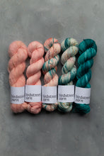 Load image into Gallery viewer, Doyouthinkhesaurus? 4ply hand-dyed yarn
