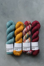 Load image into Gallery viewer, Season Of The Soul - 4ply - Hand-dyed yarn