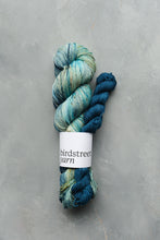 Load image into Gallery viewer, Lucky Dip Sock Sets - 4ply 100g+20g