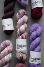 Load image into Gallery viewer, Soul Sista - 4ply- hand dyed yarn