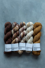 Load image into Gallery viewer, Spadger - 4ply - Hand-dyed yarn