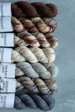 Load image into Gallery viewer, Spadger - 4ply - Hand-dyed yarn