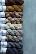 Load image into Gallery viewer, Spadger - 4ply - Hand-dyed yarn