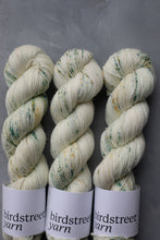 Load image into Gallery viewer, One Little Speckled Frog - 4ply - Hand-dyed yarn