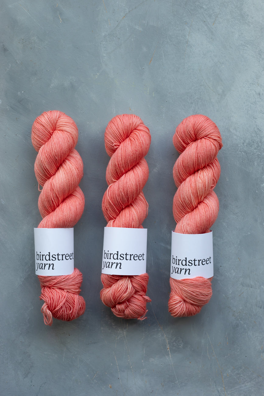 Coral - 4ply - Hand-dyed yarn