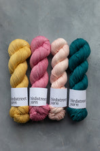 Load image into Gallery viewer, Jewel - 4ply - Hand-dyed yarn