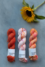 Load image into Gallery viewer, Sunshiiine! - 4ply - Hand-dyed yarn