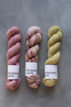 Load image into Gallery viewer, Rhapsody- 4ply - Hand-dyed yarn