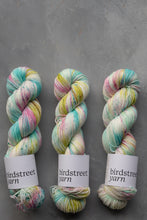 Load image into Gallery viewer, Sweet Treats - 4ply - hand dyed yarn