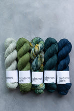 Load image into Gallery viewer, Tales From The Riverbank - 4ply - Hand-dyed yarn