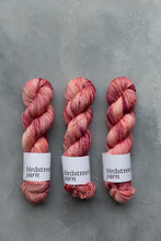 Load image into Gallery viewer, Tefiti- 4ply Hand-dyed yarn