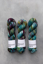 Load image into Gallery viewer, The Jewel Garden - Zebra yarn 4ply