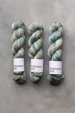 Load image into Gallery viewer, The Quiet Hours - 4ply - Hand-dyed yarn