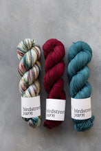 Load image into Gallery viewer, Town And Country Mice - 4ply Zebra