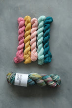 Load image into Gallery viewer, Town And Country Mice - 4ply Zebra