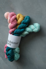 Load image into Gallery viewer, Town And Country Mice - 4ply Zebra