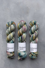 Load image into Gallery viewer, Town And Country Mice - 4ply Zebra