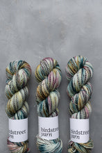 Load image into Gallery viewer, Town And Country Mice - 4ply Zebra