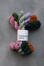 Load image into Gallery viewer, Traitors Minis - 4ply - 6x20g minis