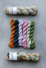 Load image into Gallery viewer, Traitors Minis - 4ply - 6x20g minis
