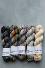 Load image into Gallery viewer, Stella Bella - 4ply - Hand-dyed yarn