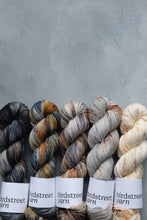 Load image into Gallery viewer, Kestrel - 4ply - Hand-dyed yarn