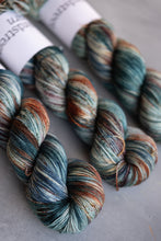 Load image into Gallery viewer, Where The Wild Things Are - 4ply - Hand-dyed yarn