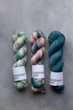 Load image into Gallery viewer, Whirligig - 4ply hand-dyed yarn