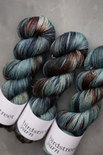 Load image into Gallery viewer, Wild Wood - 4ply - Hand-dyed yarn