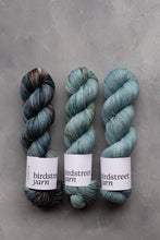 Load image into Gallery viewer, Wild Wood - 4ply - Hand-dyed yarn
