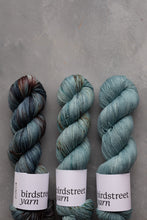 Load image into Gallery viewer, Wild Wood - 4ply - Hand-dyed yarn