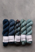 Load image into Gallery viewer, Wild Wood - 4ply - Hand-dyed yarn