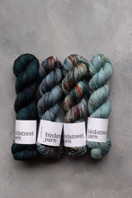 Load image into Gallery viewer, Wild Wood - 4ply - Hand-dyed yarn