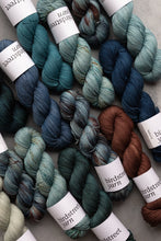 Load image into Gallery viewer, Wild Wood - 4ply - Hand-dyed yarn