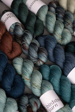 Load image into Gallery viewer, Wild Wood - 4ply - Hand-dyed yarn