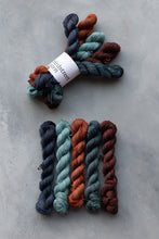 Load image into Gallery viewer, Wildwood Minis Set - 4ply - 5x20g minis
