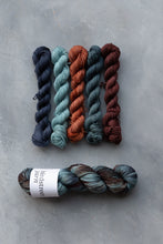 Load image into Gallery viewer, Wildwood Minis Set - 4ply - 5x20g minis