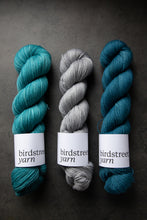 Load image into Gallery viewer, Scuba- 4ply - Hand-dyed yarn