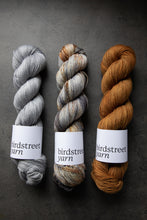 Load image into Gallery viewer, Old No.7- 4ply - Hand-dyed yarn