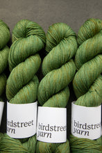 Load image into Gallery viewer, Frog- 4ply - Hand-dyed yarn