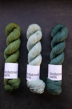 Load image into Gallery viewer, Seaglass- 4ply - Hand-dyed yarn