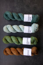 Load image into Gallery viewer, Jasper- 4ply - Hand-dyed yarn
