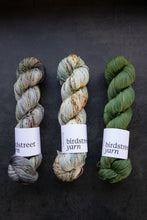 Load image into Gallery viewer, Frog- 4ply - Hand-dyed yarn