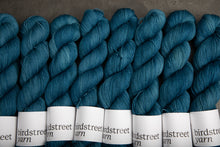 Load image into Gallery viewer, Nautilus - 4ply - Hand-dyed yarn